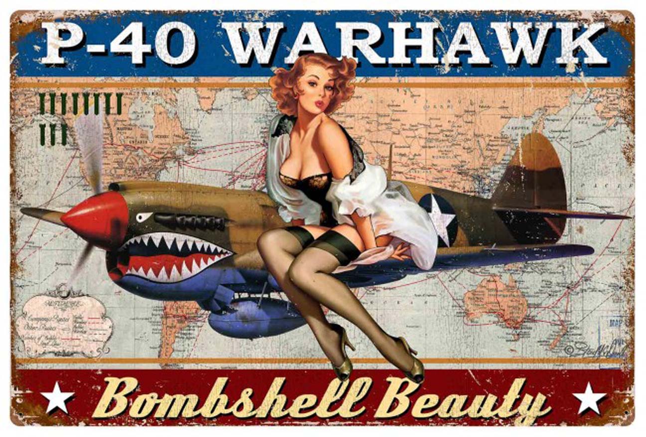 P-40 Warhawk XL
