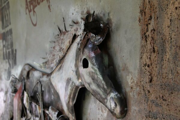 Horse in Monument Valley - Afbeelding 4