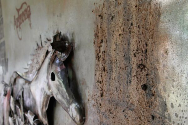 Horse in Monument Valley - Afbeelding 7