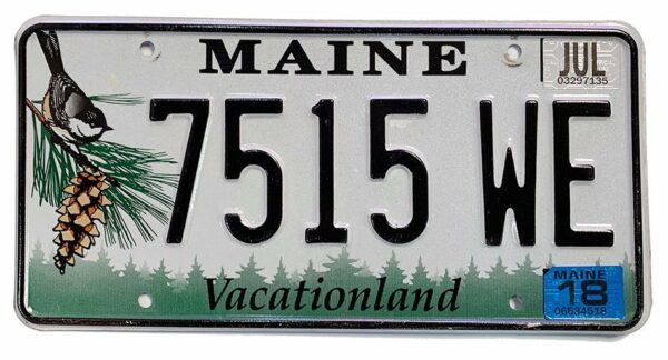 Maine - Chickadee