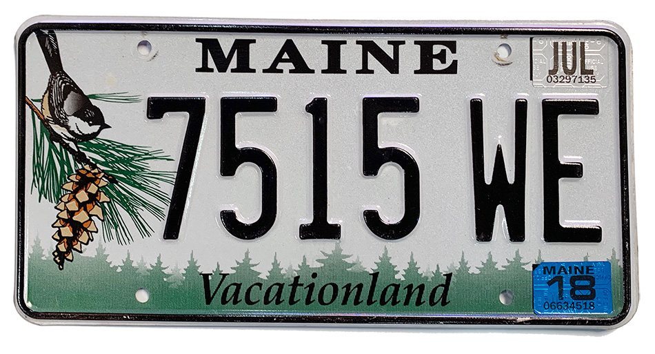 Maine - Chickadee