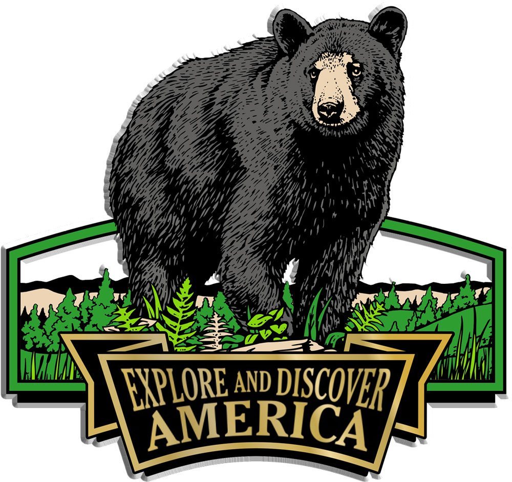 Discover & Explore America - BLACK BEAR - Magneet