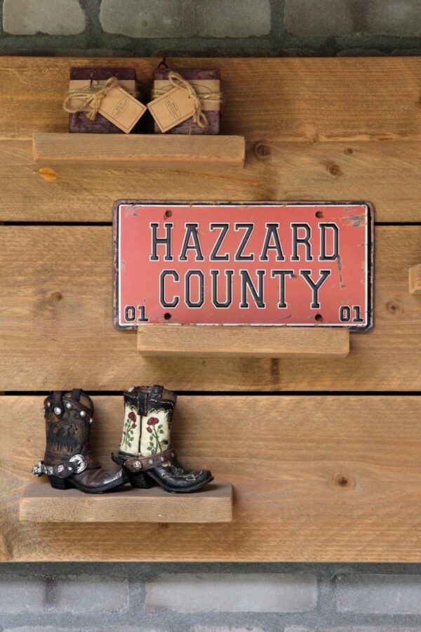 LP-Hazzard County - Afbeelding 2