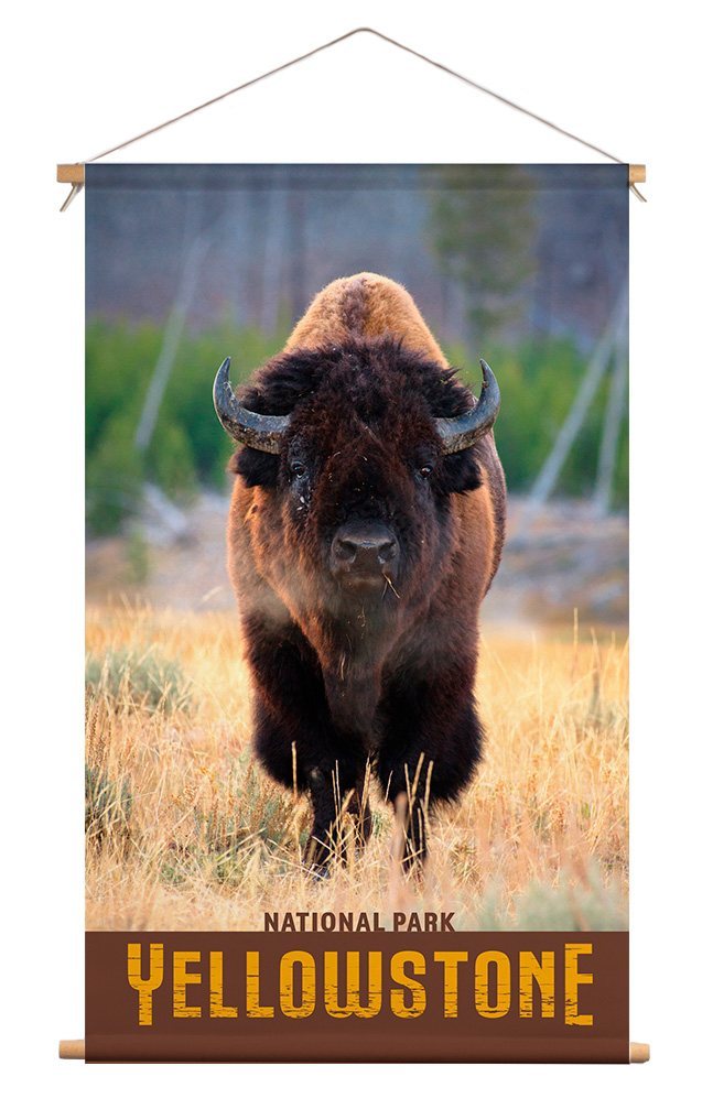 Wanddoek - Buffalo in Yellowstone