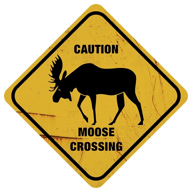 Xing - Moose