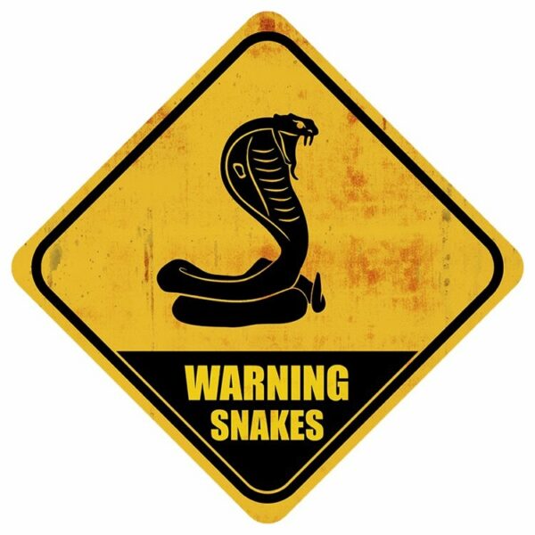 Xing - Snakes