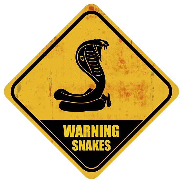 Xing - Snakes