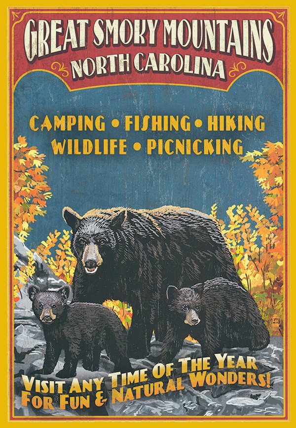Great Smoky Mountains - Bears