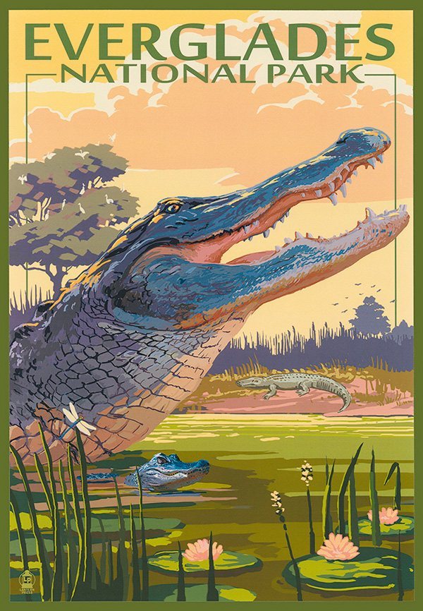Everglades