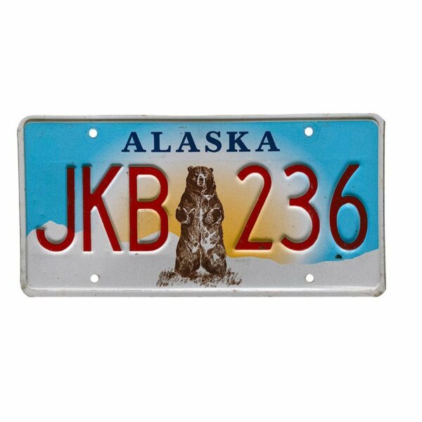 Alaska - Bear