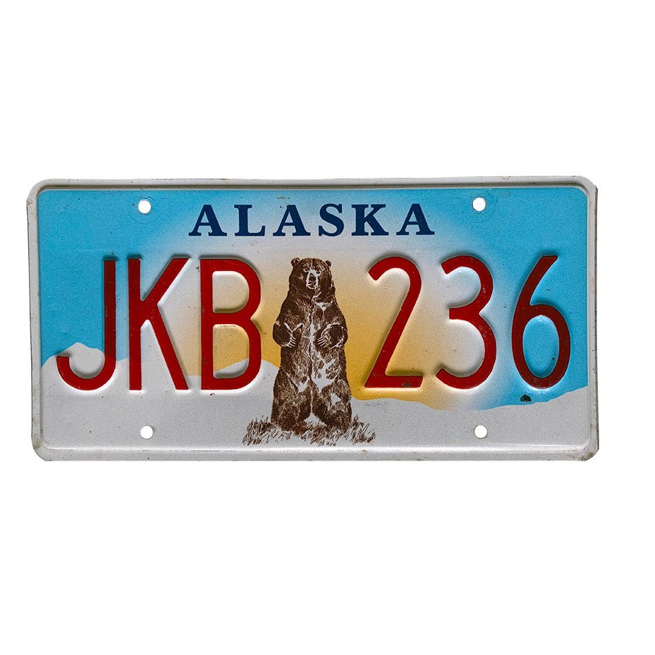 Alaska - Bear