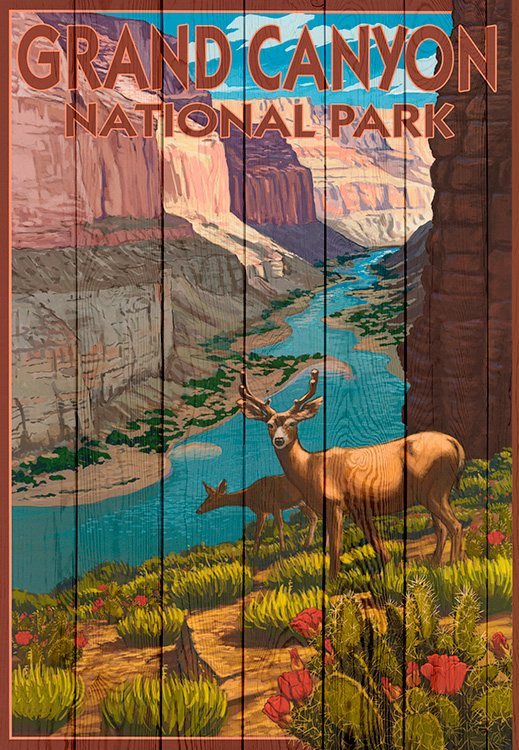 Grand Canyon Deer