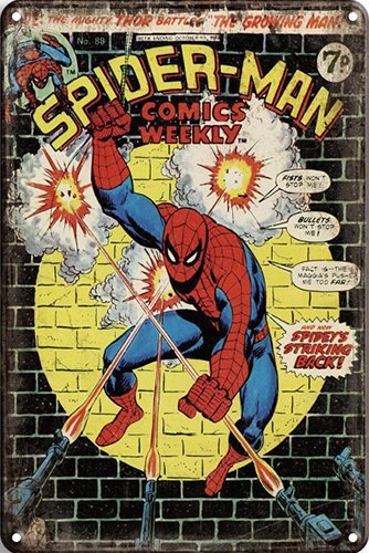 Spiderman Wall - 30x40