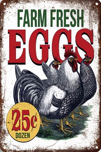 Farm Fresh Eggs - 20x30