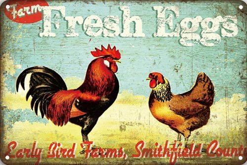 Fresh Eggs - 20x30