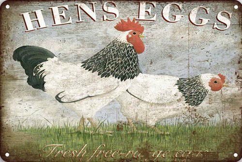 Hens Eggs - 20x30