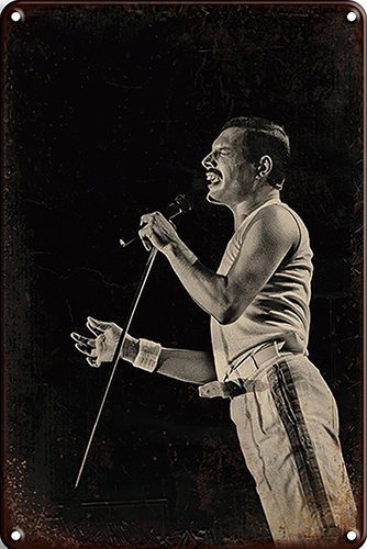 Queen - Freddy - 30x40