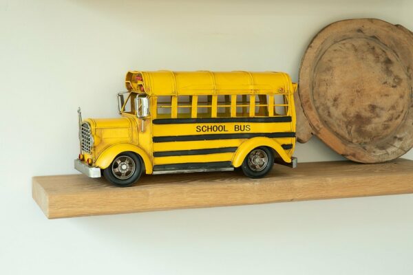 Miniatuur - Schoolbus - Afbeelding 13