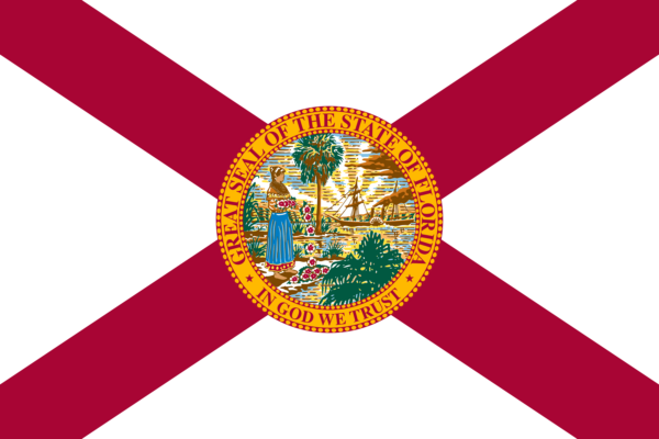 Vlag - Florida - Afbeelding 2