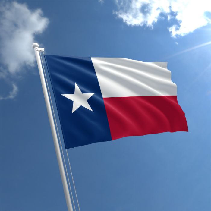 Vlag - Texas