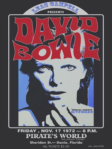 David Bowie - 1972 Florida - 30x40