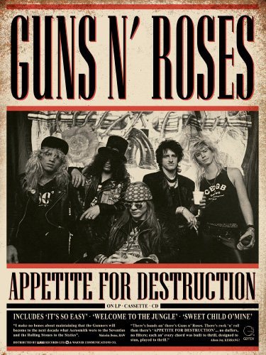Guns n Roses - Appetite for Destruction - 30x40