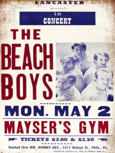 The Beach Boys - 30x40