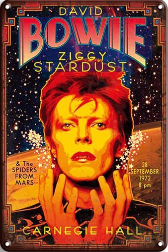 David Bowie - Ziggy Stardust - 20x30 cm