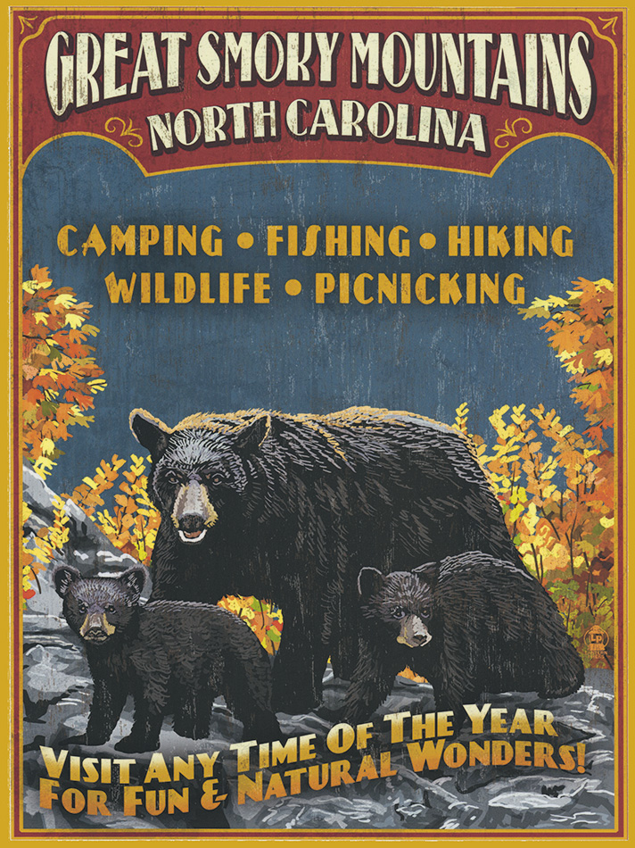 Smoky Montains - Wood - 22x30 cm