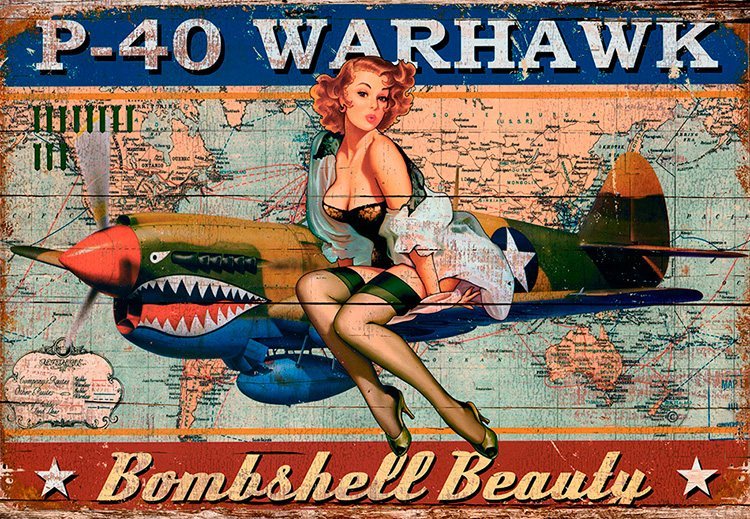 P40 Warhawk - Pin up - wood