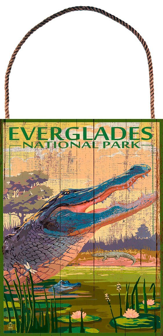 Everglades - Hanger aan touw