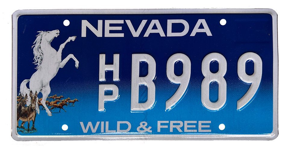 Nevada - White-Horse- Wild-and-Free