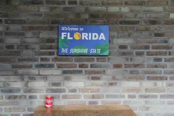 Florida - The Sunshine State - Afbeelding 2