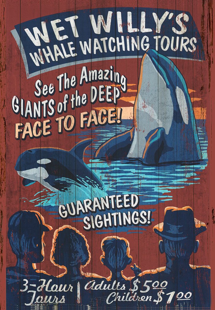 Whale Watching