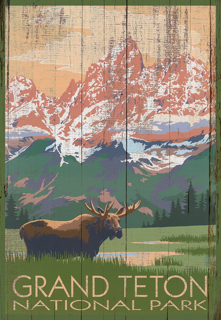Grand Teton Moose