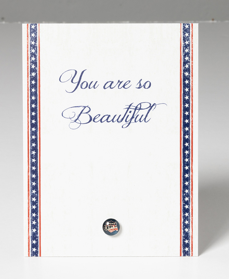 Set van 5 Kaartpins - Signs USA